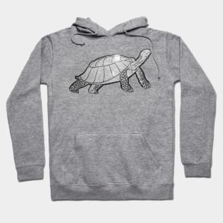 Galapagos Giant Tortoise Hoodie